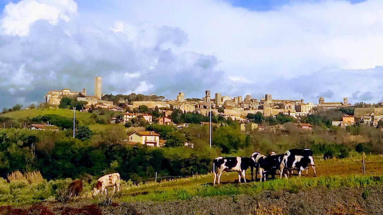 Вилла Agriturismo Il Poderino Тарквиния Экстерьер фото